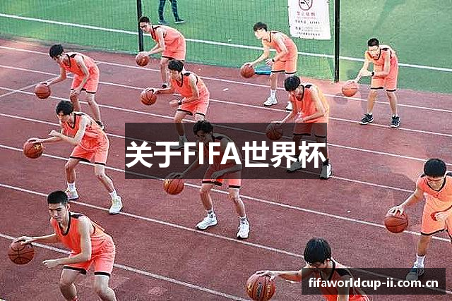 关于FIFA世界杯